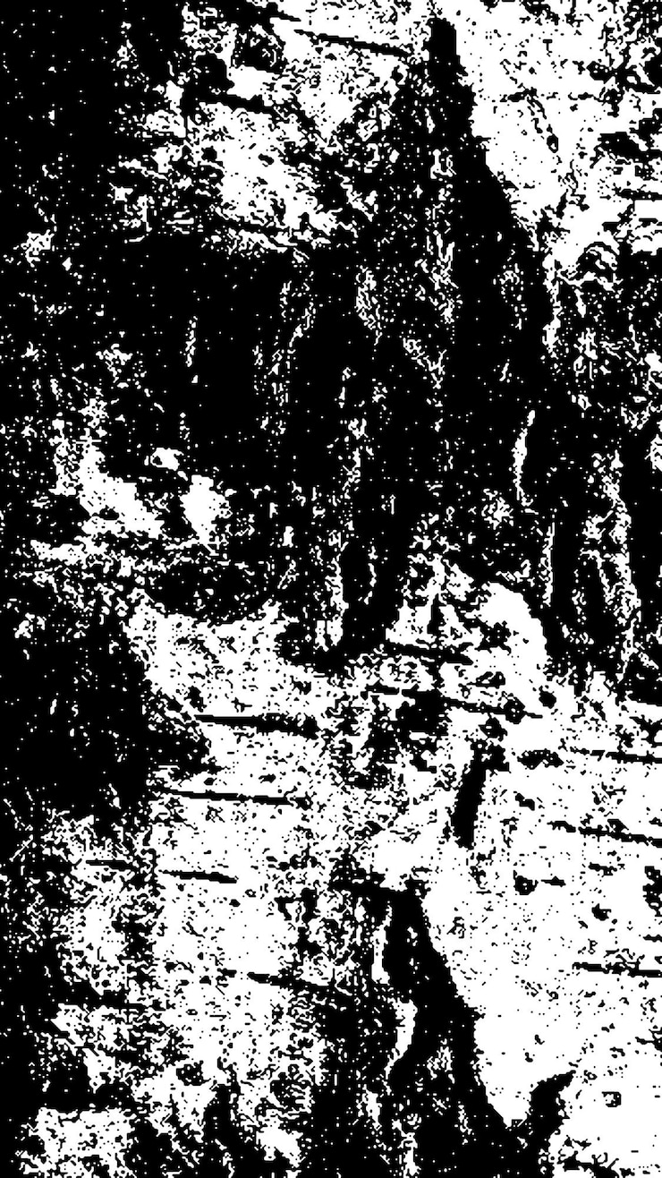 PSD textura de casca de árvore preta casca em fundo branco vector de fundo de árvore velha textura de grunge de madeira