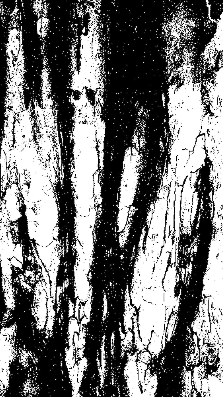PSD textura de casca de árvore preta casca em fundo branco vector de fundo de árvore velha textura de grunge de madeira