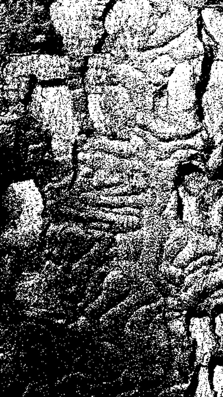PSD textura de casca de árvore preta casca em fundo branco vector de fundo de árvore velha textura de grunge de madeira