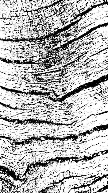 Textura de casca de árvore preta Casca em fundo branco Vector de fundo de árvore velha textura de grunge de madeira