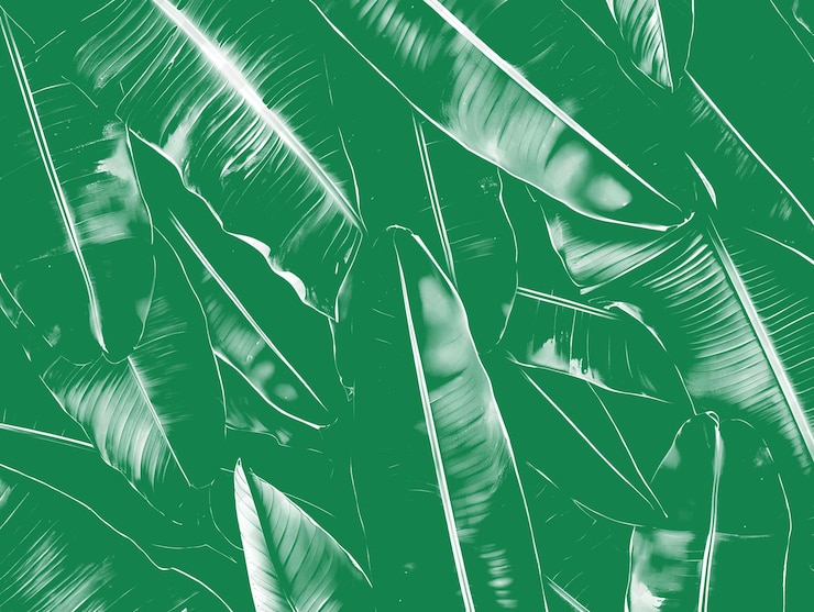 PSD textura de costelas de folha de banana com alinhamento vertical e uniforme o png decoração de fundo de sobreposição criativa