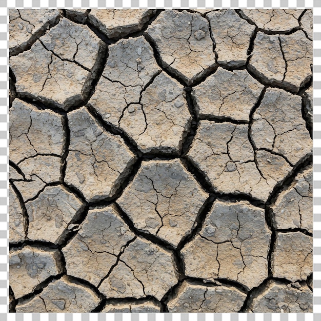 Textura detalhada de terra rachada com fissuras isoladas