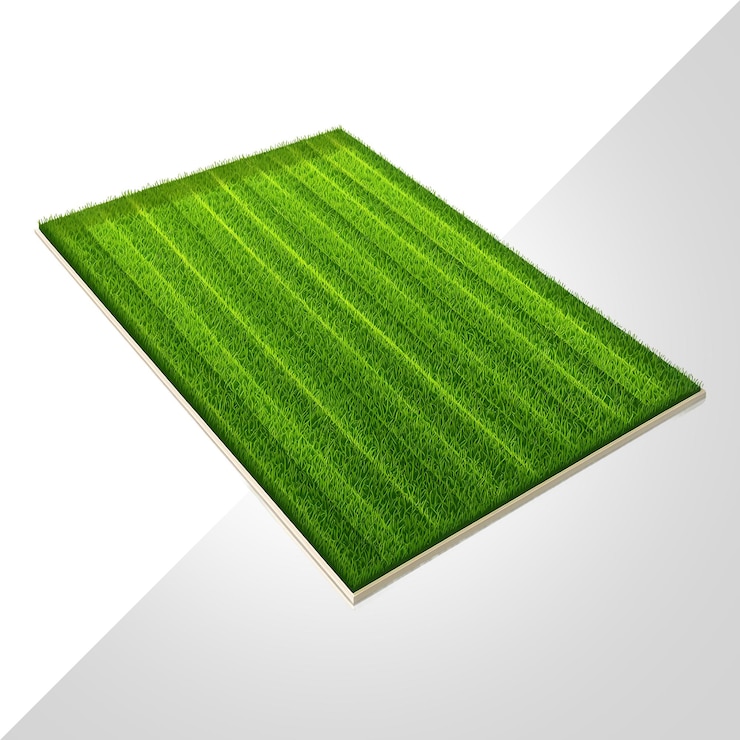 PSD textura de la hierba artificial