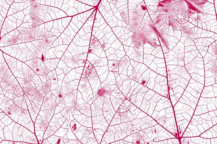 PSD textura de hojas venadas con dispersión aleatoria y escasa en el surf png decoración de fondo de superposición creativa