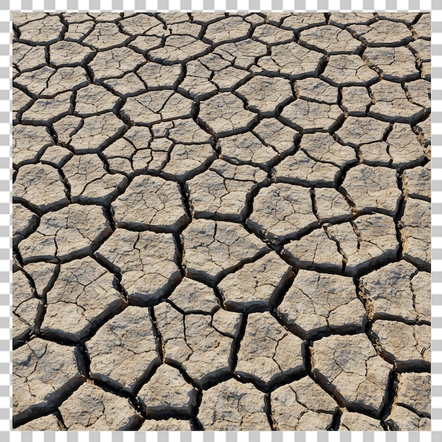 Textura realista de terra seca com rachaduras e fissuras isoladas