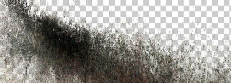 PSD texture abstraite avec des coups de pinceau