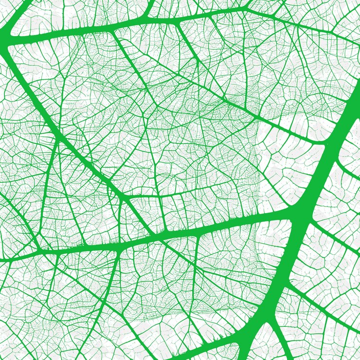 PSD texture della rete delle vene fogliarie con ramificazione natura vascolare e intrica abstract collezioni di sfondo