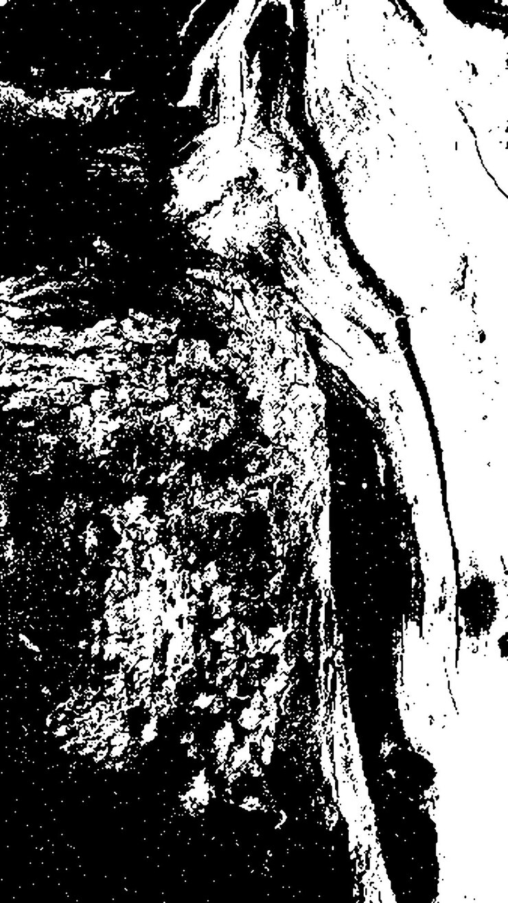 PSD texture di corteccia di albero nera corteccia su sfondo bianco vecchio vetore di sfondo di albero texture di grunge in legno