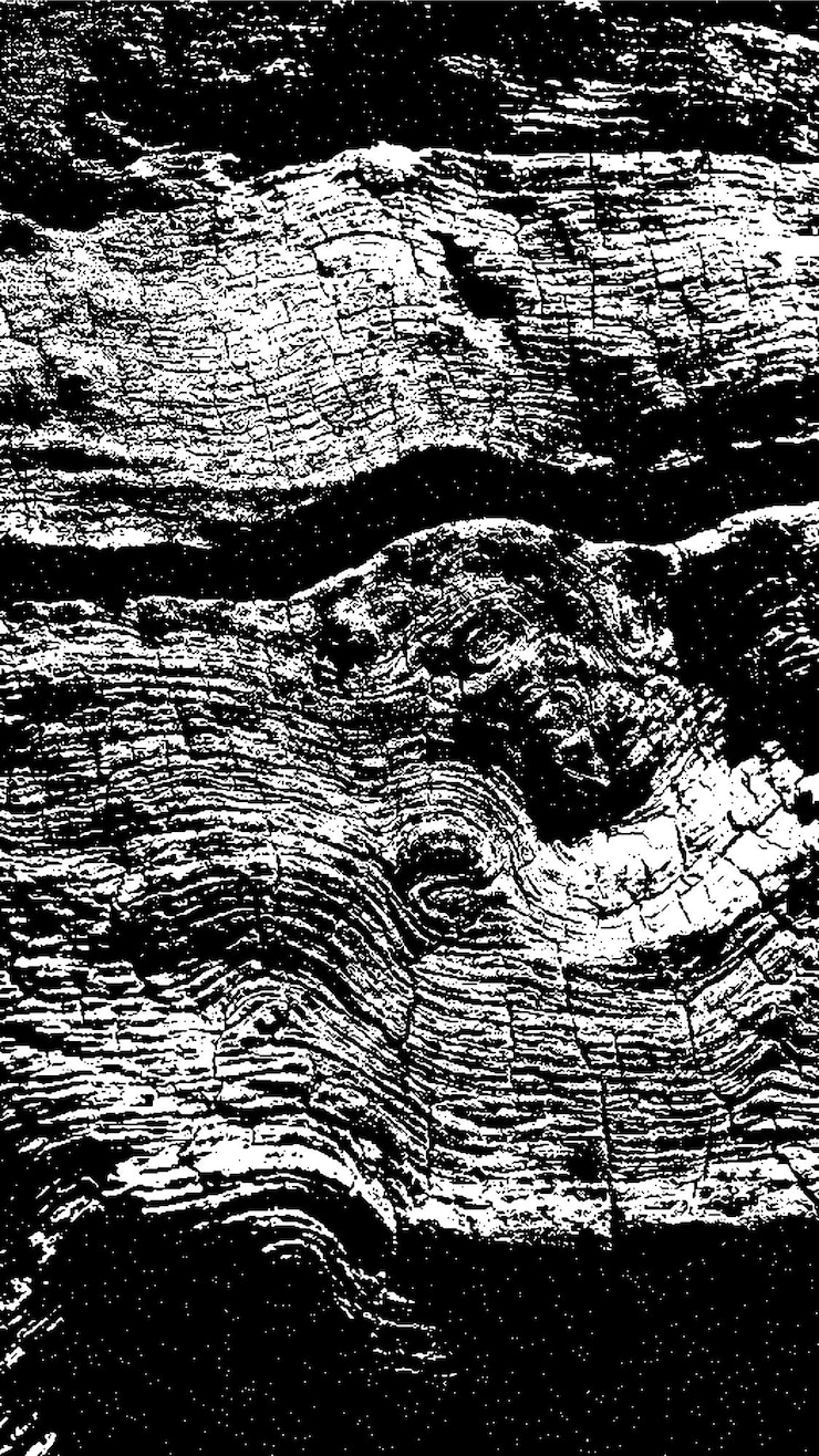 PSD texture di corteccia di albero nera corteccia su sfondo bianco vecchio vetore di sfondo di albero texture di grunge in legno