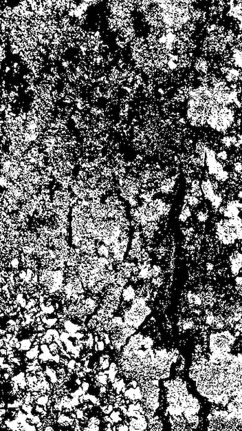 Texture di corteccia di albero nera Corteccia su sfondo bianco Vecchio vetore di sfondo di albero texture di grunge in legno