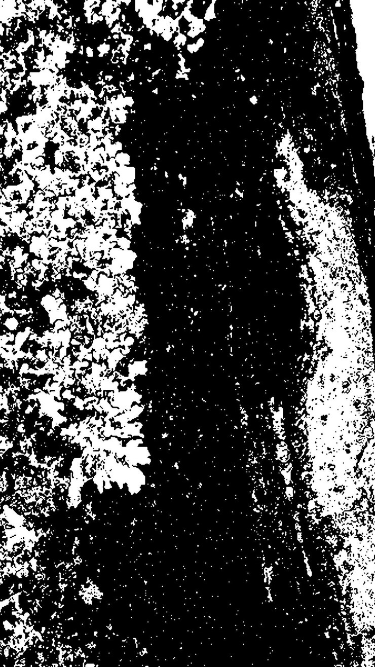 PSD texture di corteccia di albero nera corteccia su sfondo bianco vecchio vetore di sfondo di albero texture di grunge in legno