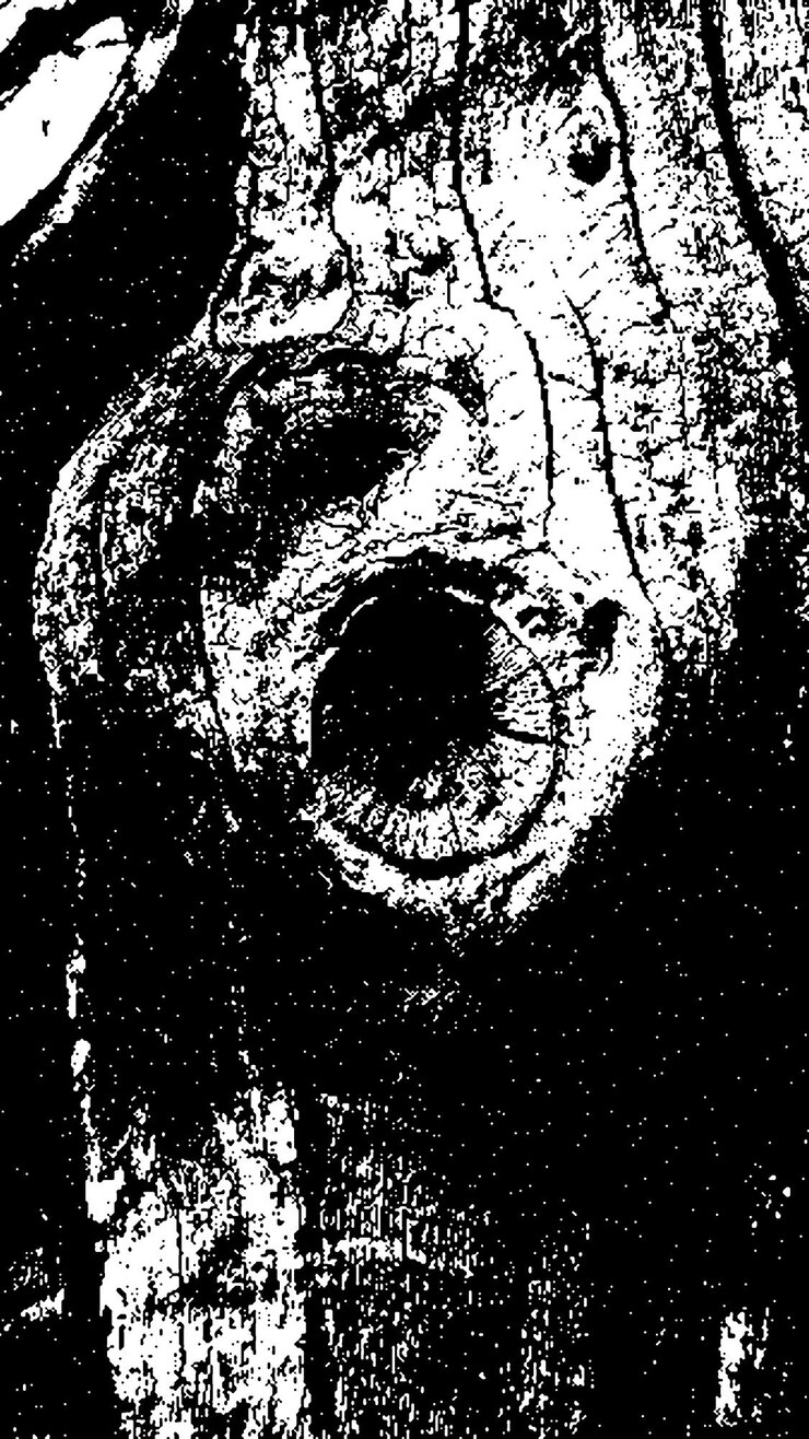 PSD texture di corteccia di albero nera corteccia su sfondo bianco vecchio vetore di sfondo di albero texture di grunge in legno