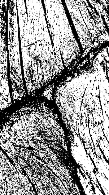 Texture d'écorce d'arbre noire écorce sur un fond blanc vieil arbre de fond vecteur texture grunge en bois