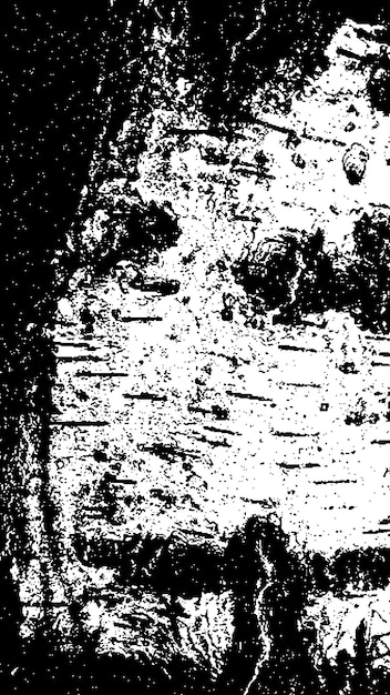 Texture d'écorce d'arbre noire écorce sur un fond blanc vieil arbre de fond vecteur texture grunge en bois