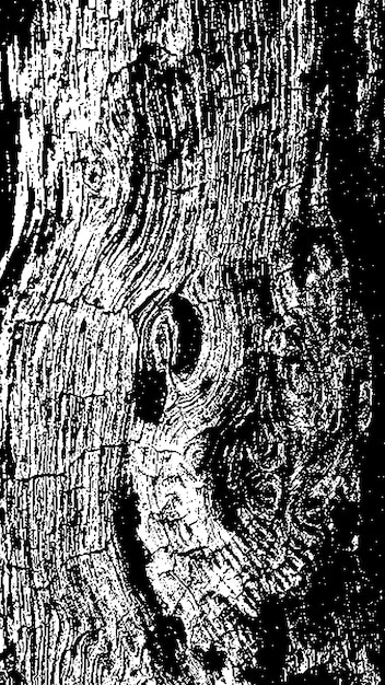 Texture d'écorce d'arbre noire écorce sur un fond blanc vieil arbre de fond vecteur texture grunge en bois