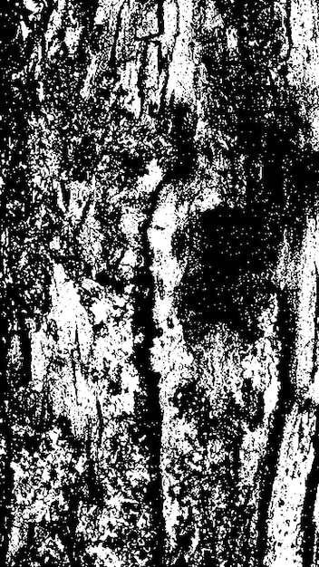 Texture d'écorce d'arbre noire écorce sur un fond blanc vieil arbre de fond vecteur texture grunge en bois