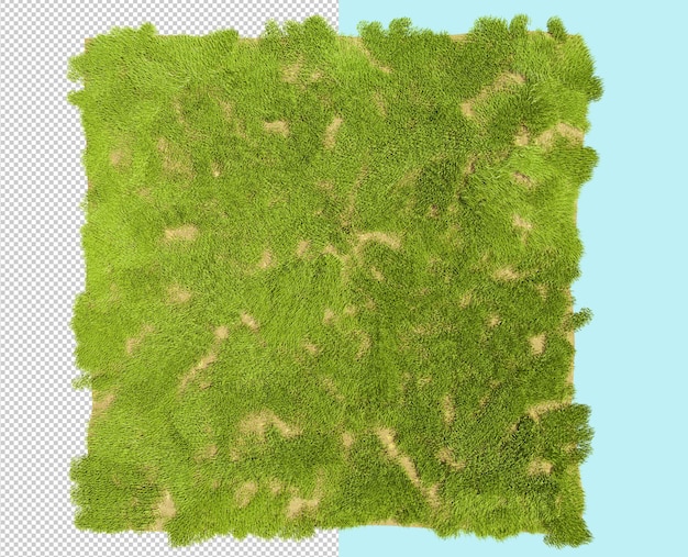 PSD texture d'herbe, rendu 3d. pelouse verte, vue de dessus.