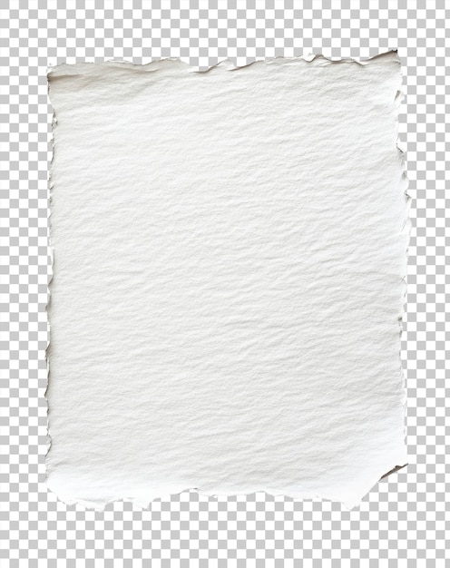 Texturiertes Papierblatt mit abgerissenen Kanten auf durchsichtigem Hintergrund