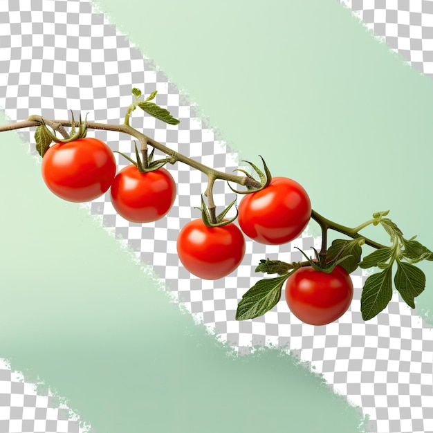 The tomatoes are separate with a transparent background and a clipping path