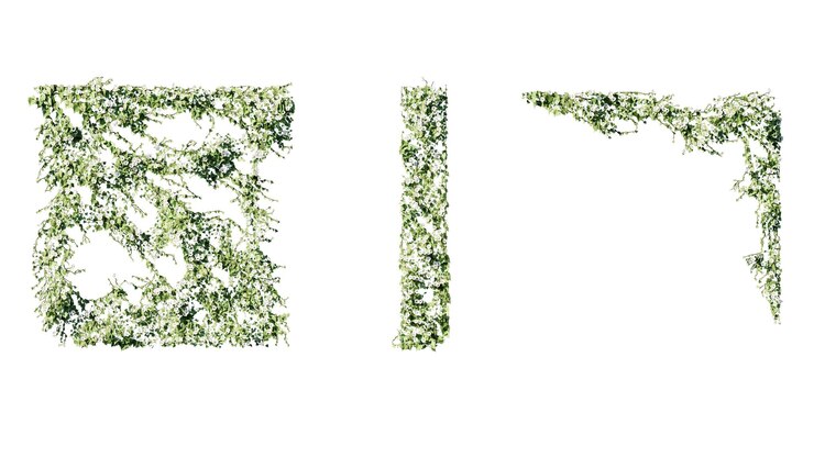 PSD the word leaf is on a white background