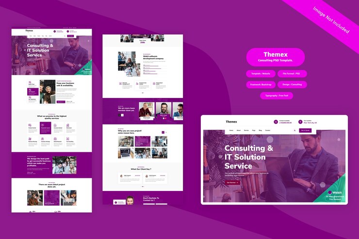 PSD themex - consultoria web template