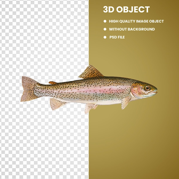 Le thon rouge est très frais, du poisson frais et entier.
