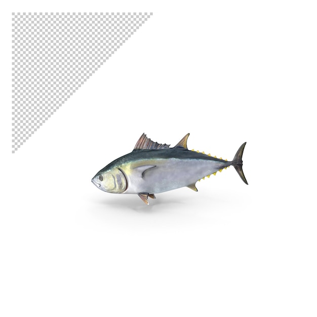 PSD thunfisch png