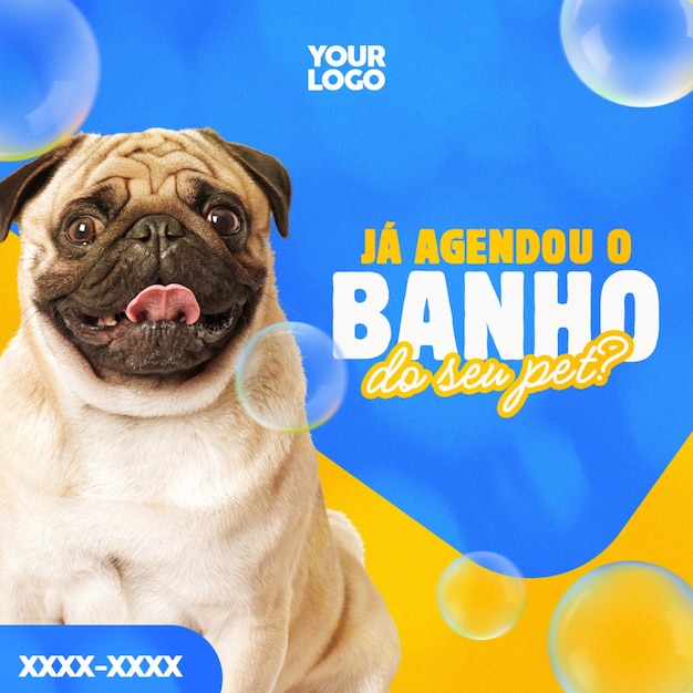 PSD para la tienda de mascotas banho e tosa