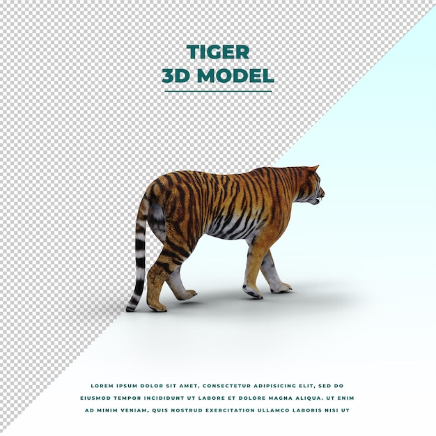 Modelo 3D de Tigre. Download grátis.