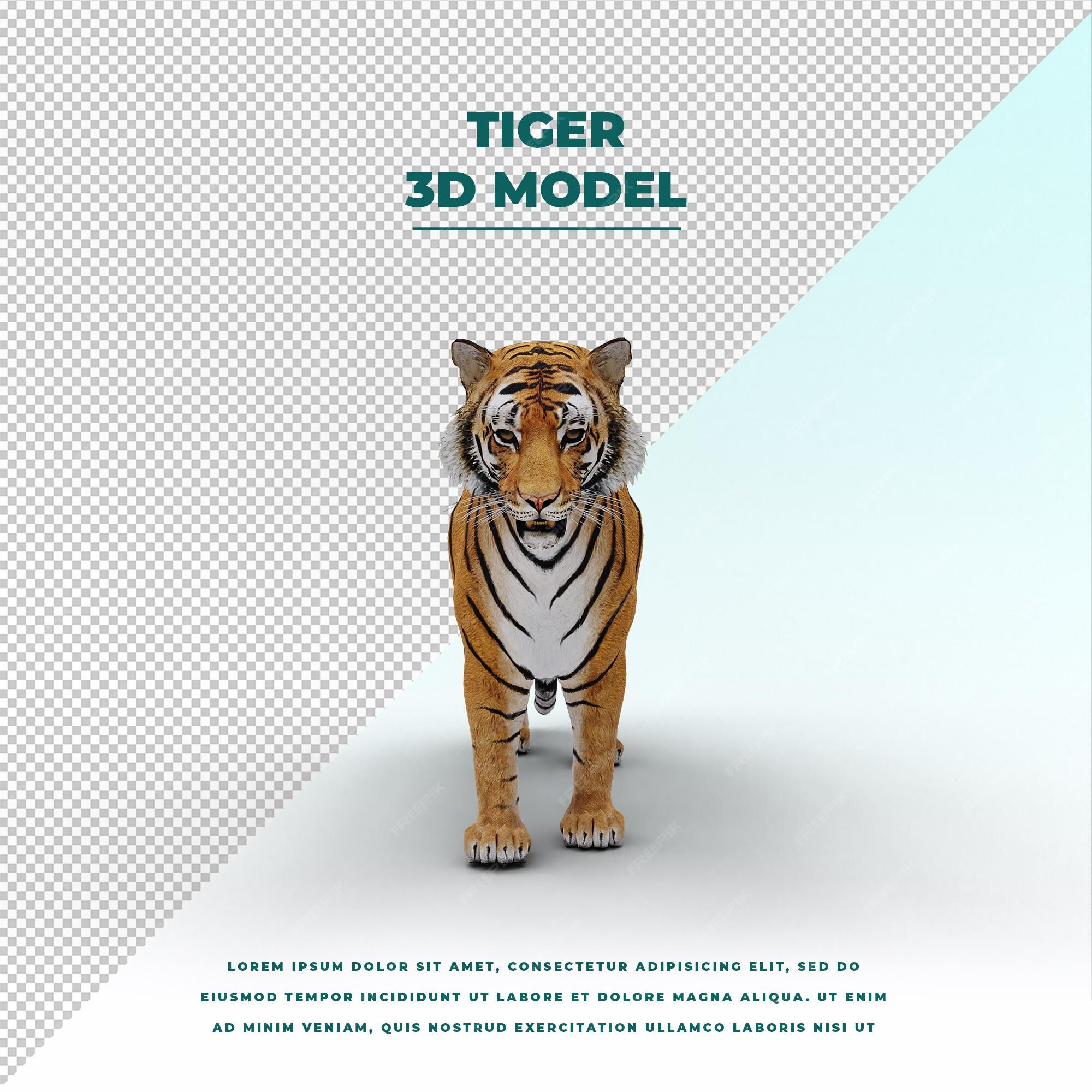 Modelo 3D de Tigre. Download grátis.