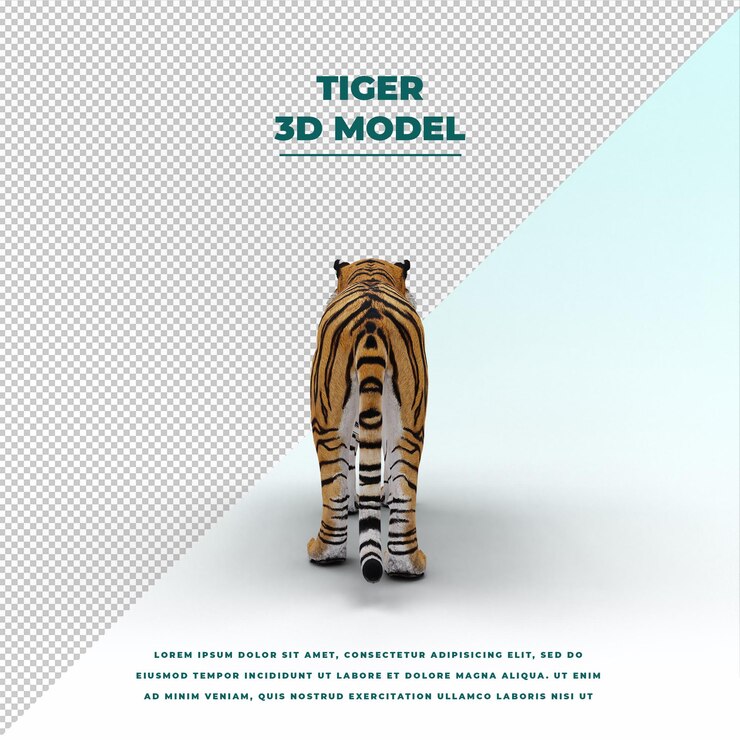 PSD tigre