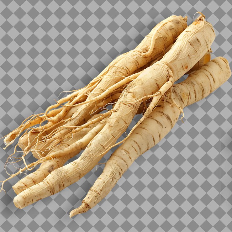 PSD tipo de hierba raíz de ginseng panax forma de hierba de ginseng raíz seca objeto aislado en fondo limpio