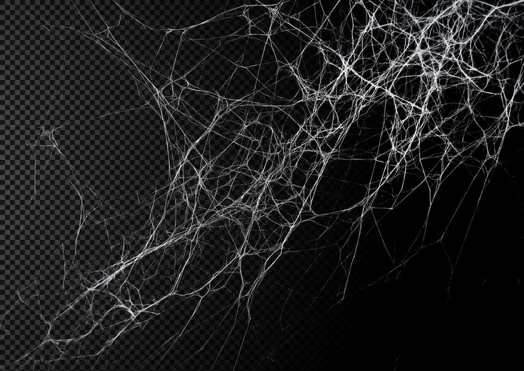 PSD une toile d'araignée réaliste avec un fond transparent