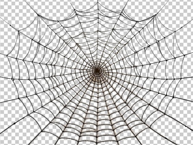 PSD une toile d'araignée