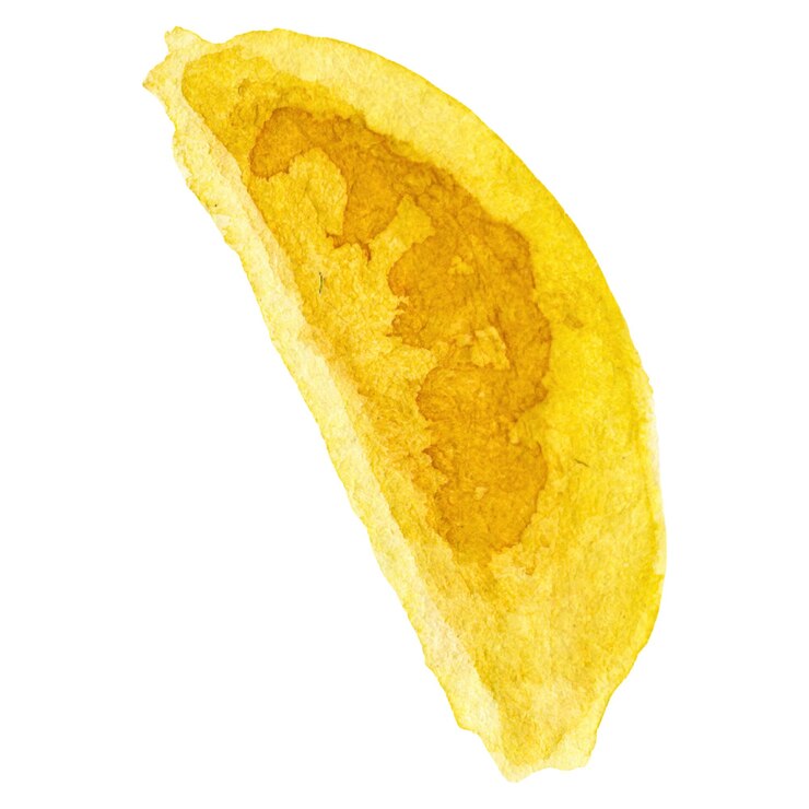 PSD tomate cereja pintado a aquarela elemento de design de alimentos frescos desenhado à mão isolado em fundo transparente