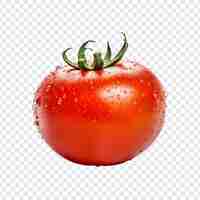 PSD un tomate con gotas de agua y una gota de agua en él