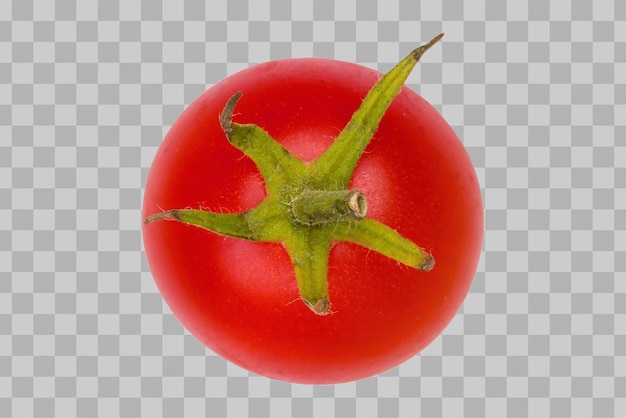 PSD tomate isolado