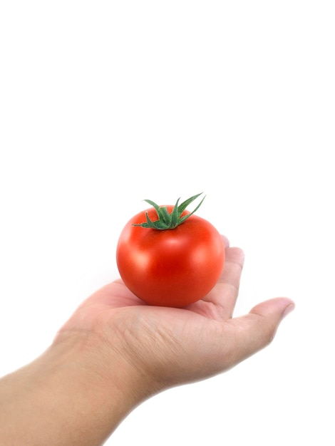 PSD tomate en main fond transparent