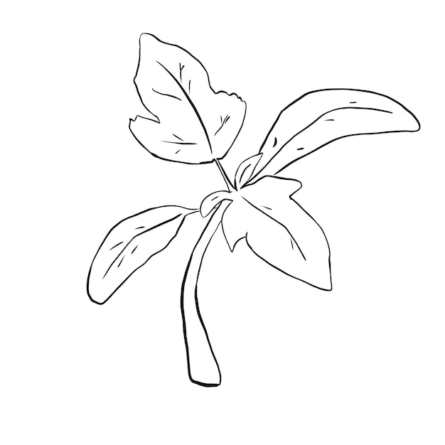 Tomatenpflanzen-Sprossen-Linien-Kunstillustration