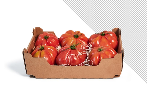 PSD tomates frescos em caixa de papelão reciclável, maquete