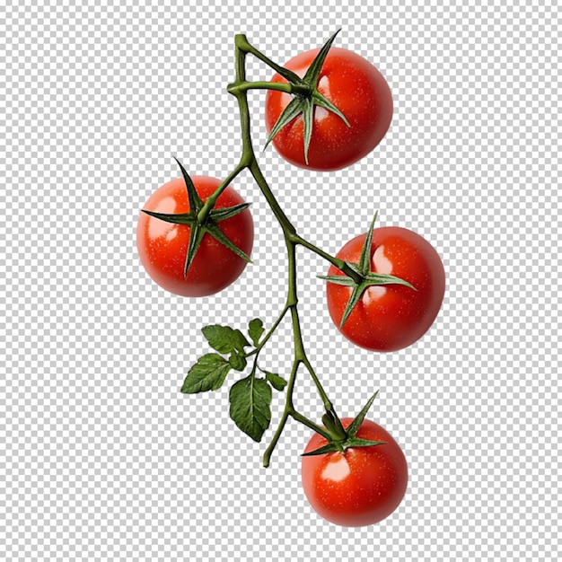 Tomato fruit whole and a half isolated on transparent background