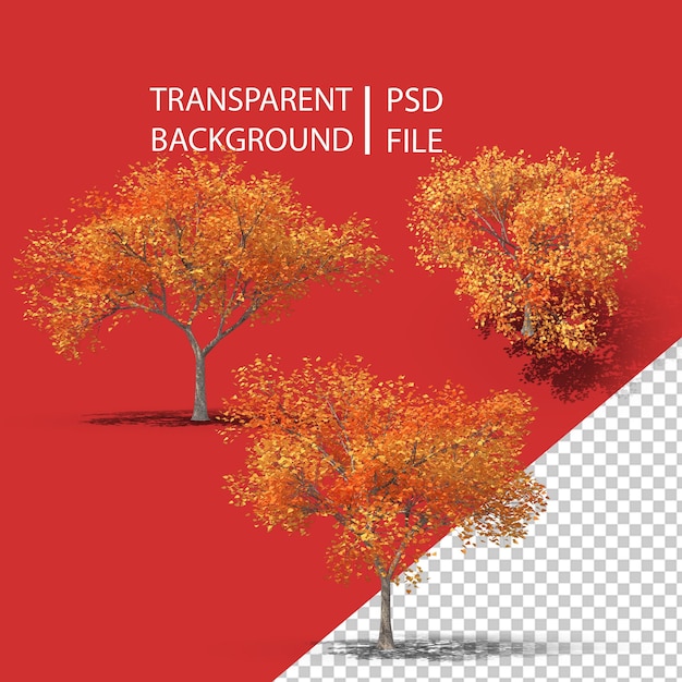 PSD tomber arbre png