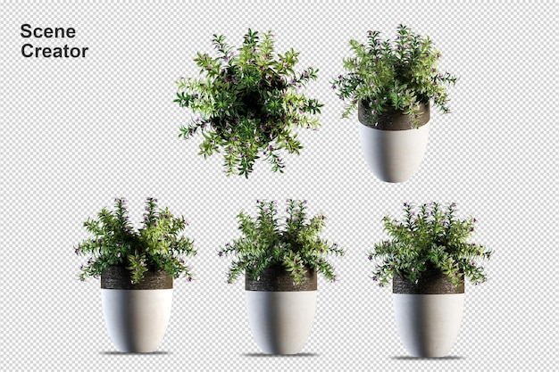 Topfpflanzen Blumen in 3D-Rendering isoliert