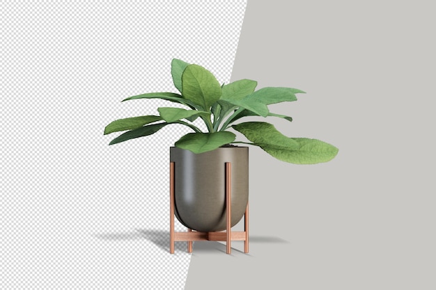 Topfpflanzen blumen in 3d-rendering isoliert