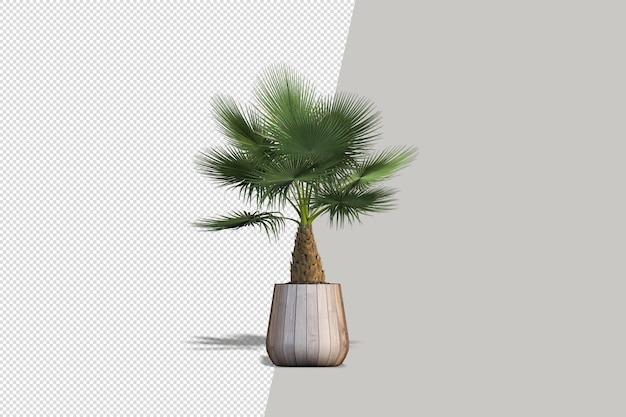 Topfpflanzen Blumen in 3D-Rendering isoliert