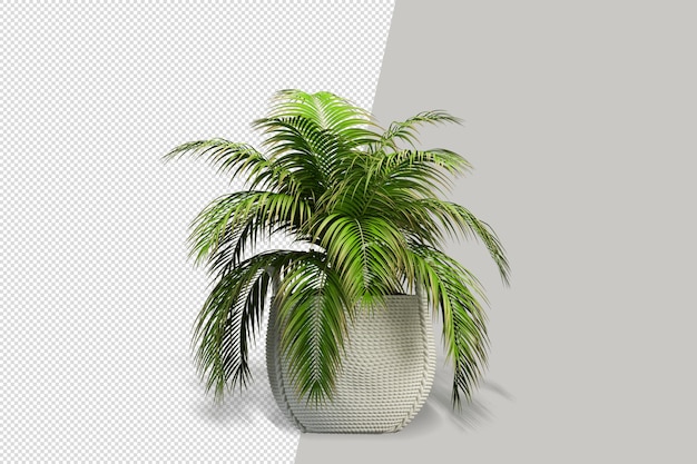 Topfpflanzen Blumen in 3D-Rendering isoliert