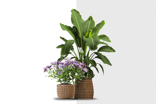 Topfpflanzen Blumen in 3D-Rendering isoliert