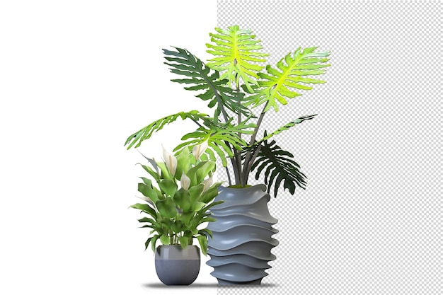 Topfpflanzen Blumen in 3D-Rendering isoliert