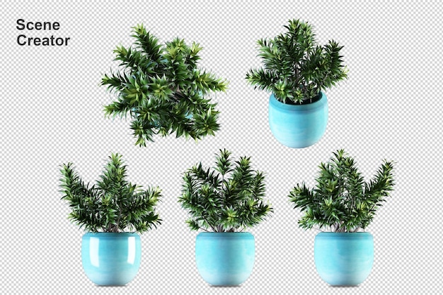 Topfpflanzen in 3D-Rendering isoliert