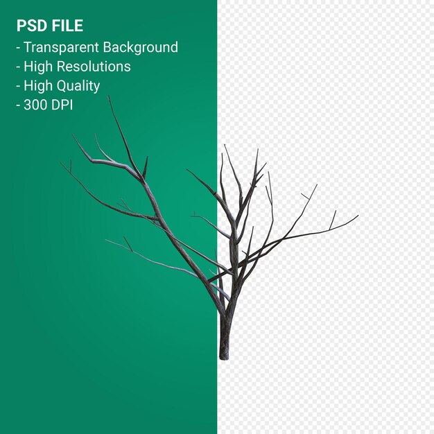Toter Baum 3D-Rendering auf transparentem Hintergrund isoliert